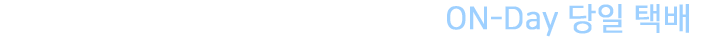 빠르고 안전한 프리미엄 당일 택배, On-Day 당일 택배